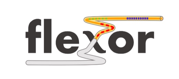 Logotipo del proyecto FLEXOR, centrado en el diseño de sondas ópticas flexibles para diagnóstico y monitorización biomédica