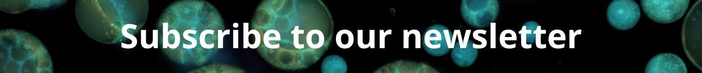 Subscribe to our Newsletter